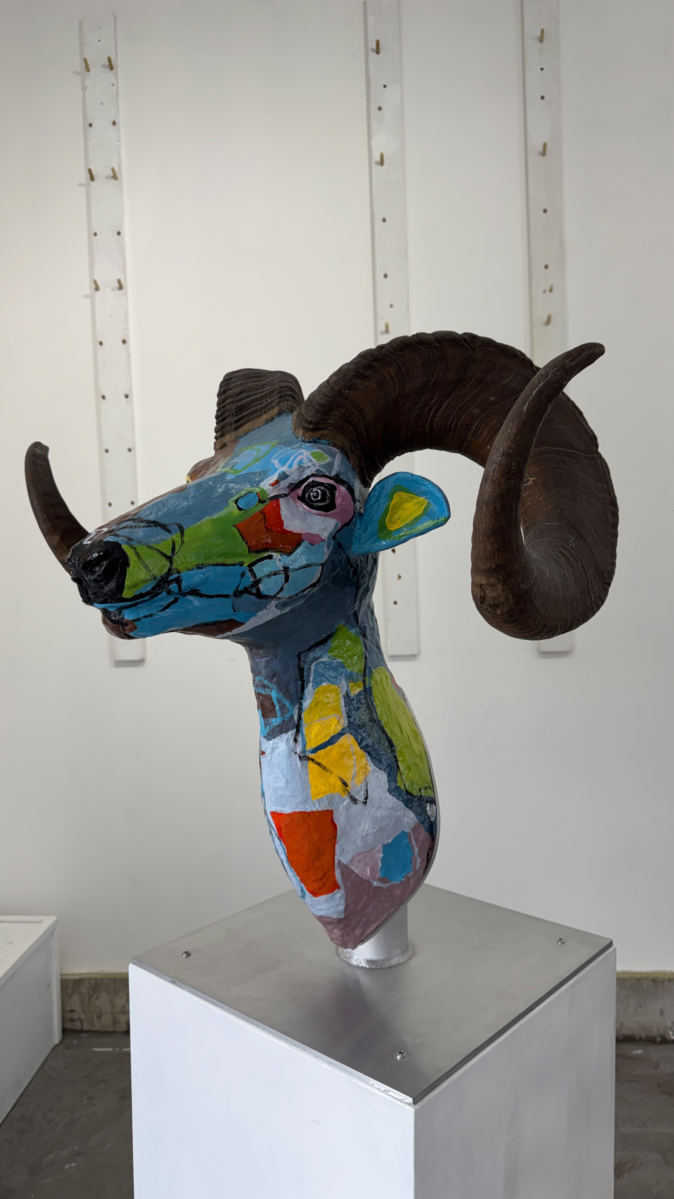 Colourful goat head and neck sculpture with large, dark curling horns. Blue, green, yellow, orange and pink shapes cover the face and neck, with black lines defining the muzzle and a spiral eye. Displayed on a white plinth.